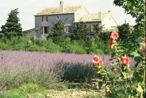 maison Samarie