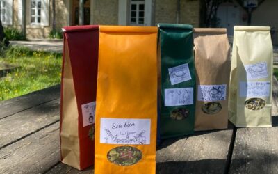 Soie bien à Taulignan !