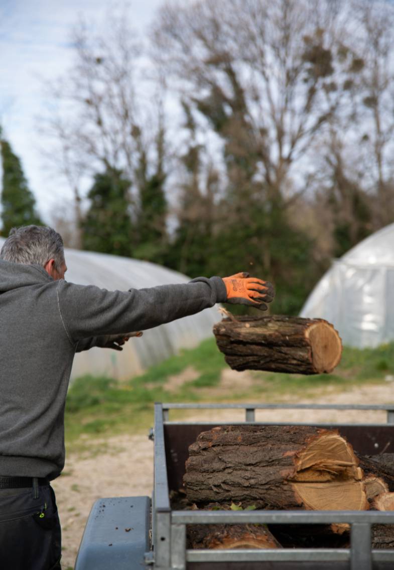Foyer de vie Le Béal: le ramassage de bois par des porteurs de handicap basés en Drôme