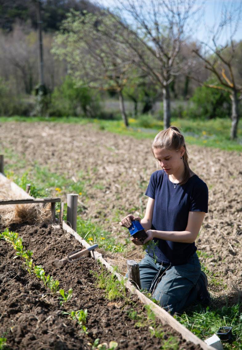 Plantation dans le jardin avec l'aide de jeunes volontaires pour aider les porteurs de handicap du foyer de vie Le Béal à Taulignan