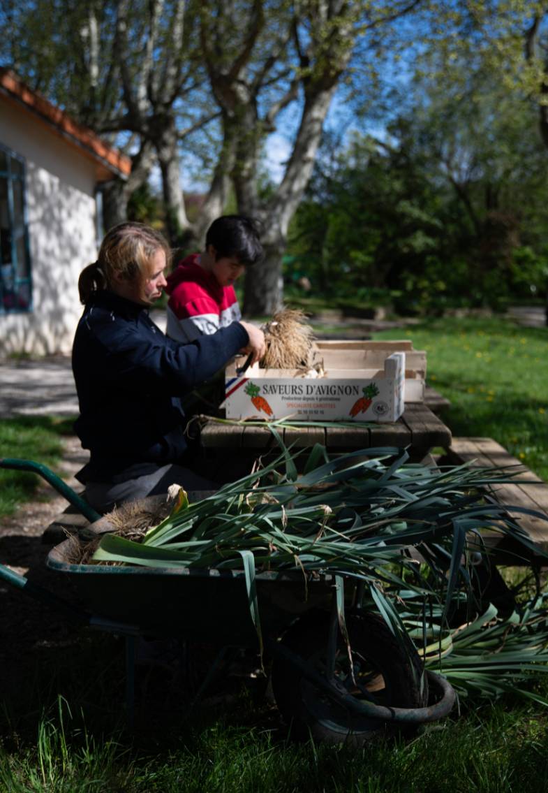 Tri de la récolte du jardin avec l'aide de jeunes volontaires pour aider les porteurs de handicap du foyer de vie Le Béal à Taulignan
